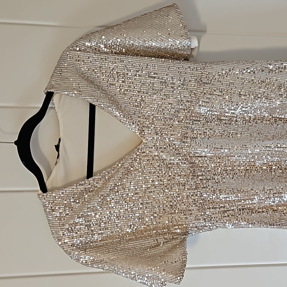 Moon Lite Rose Sequin Dress (S) - Picture 2 of 7